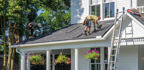 Best Storm Damage Roof Repair  in Waynesville, NC